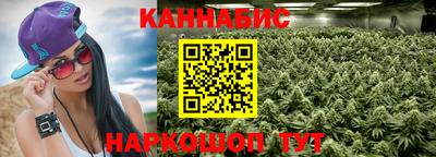 СК Новозыбков